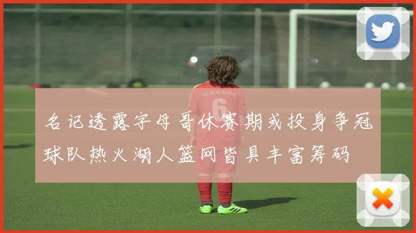名记透露字母哥休赛期或投身争冠球队热火湖人篮网皆具丰富筹码